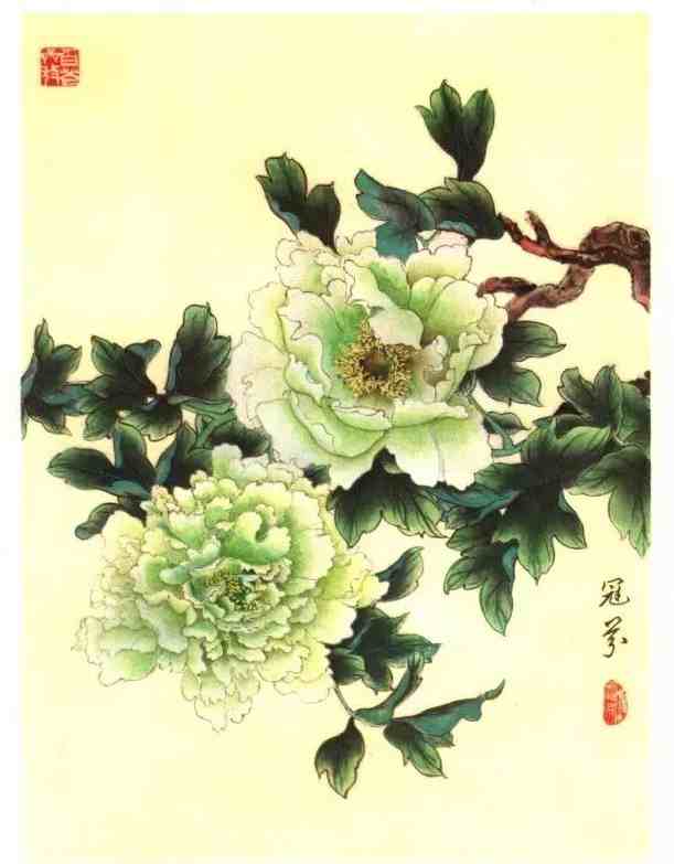 牡丹花谱|牡丹画谱，花开富贵