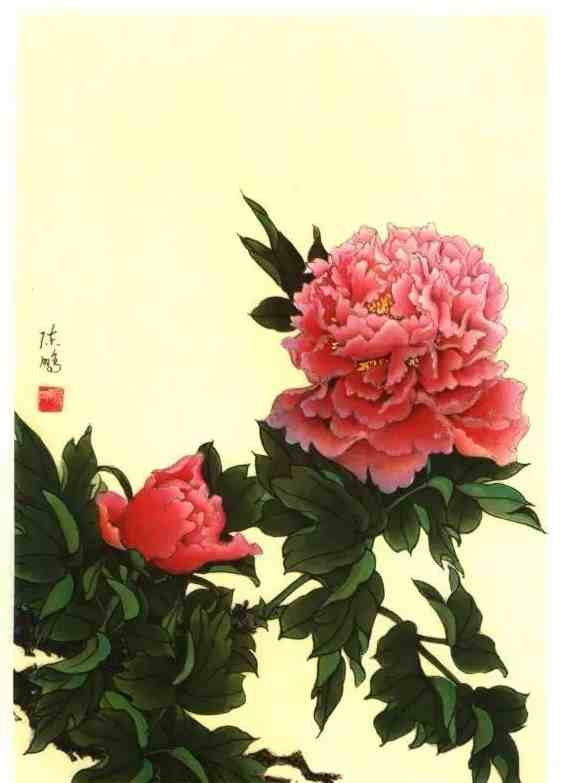 牡丹花谱|牡丹画谱，花开富贵