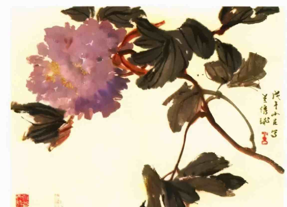 牡丹花谱|牡丹画谱，花开富贵