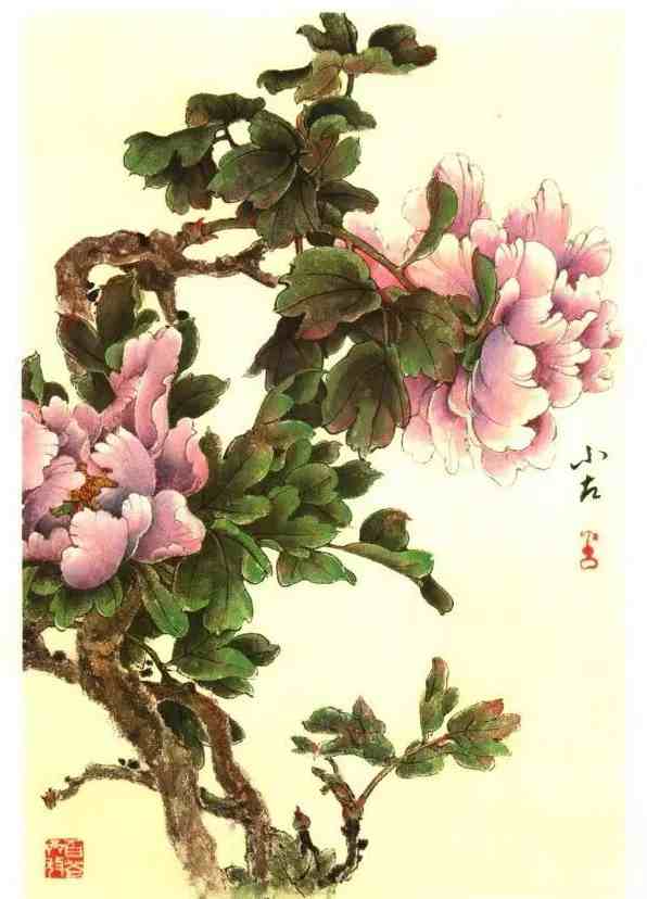 牡丹花谱|牡丹画谱，花开富贵