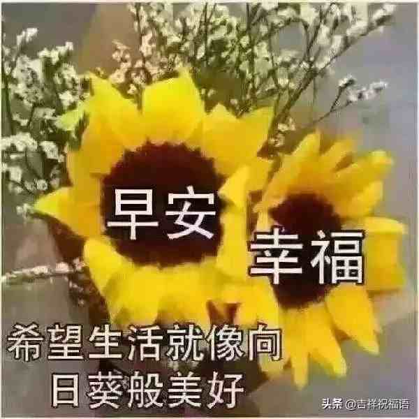 早上好问候语图片|最新早上好问候祝福语短信