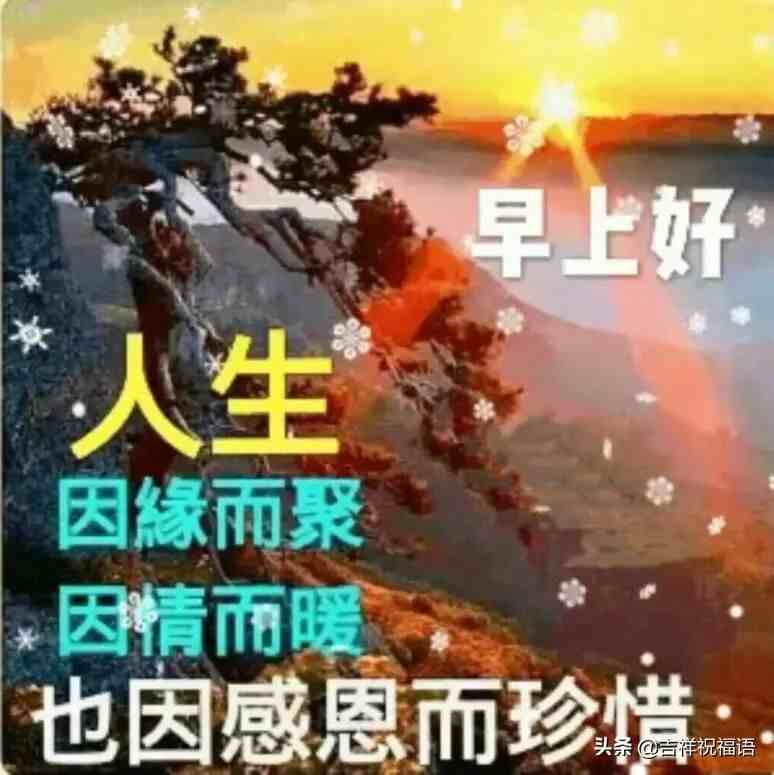 早上好问候语图片|最新早上好问候祝福语短信