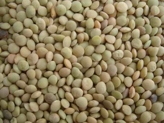 24种豆类杂粮大全，今天涨知识了，你知道哪些？