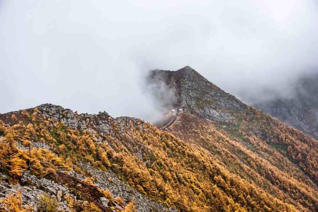 秦岭淮河一线|秦岭淮河凭什么是南北分界线