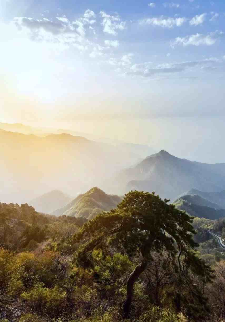 秦岭淮河一线|秦岭淮河凭什么是南北分界线