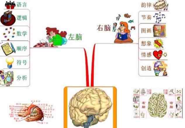 3步学会右脑记忆法，助娃练出“学霸脑”，家长为孩子收藏吧