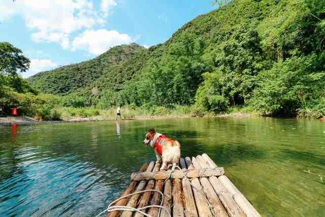 距离福州一小时车程的永泰莒溪，有小九寨著称，小众的玩水好去处