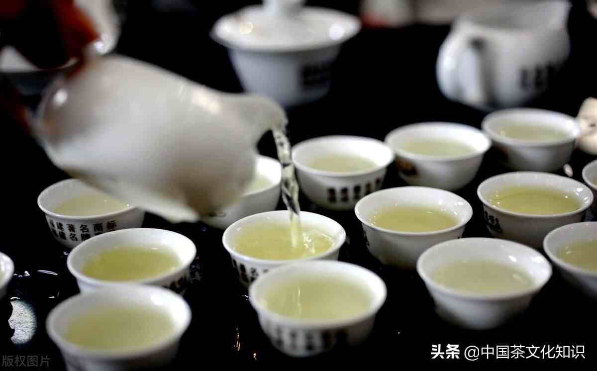 功夫茶怎么泡 功夫茶的泡法步骤图解