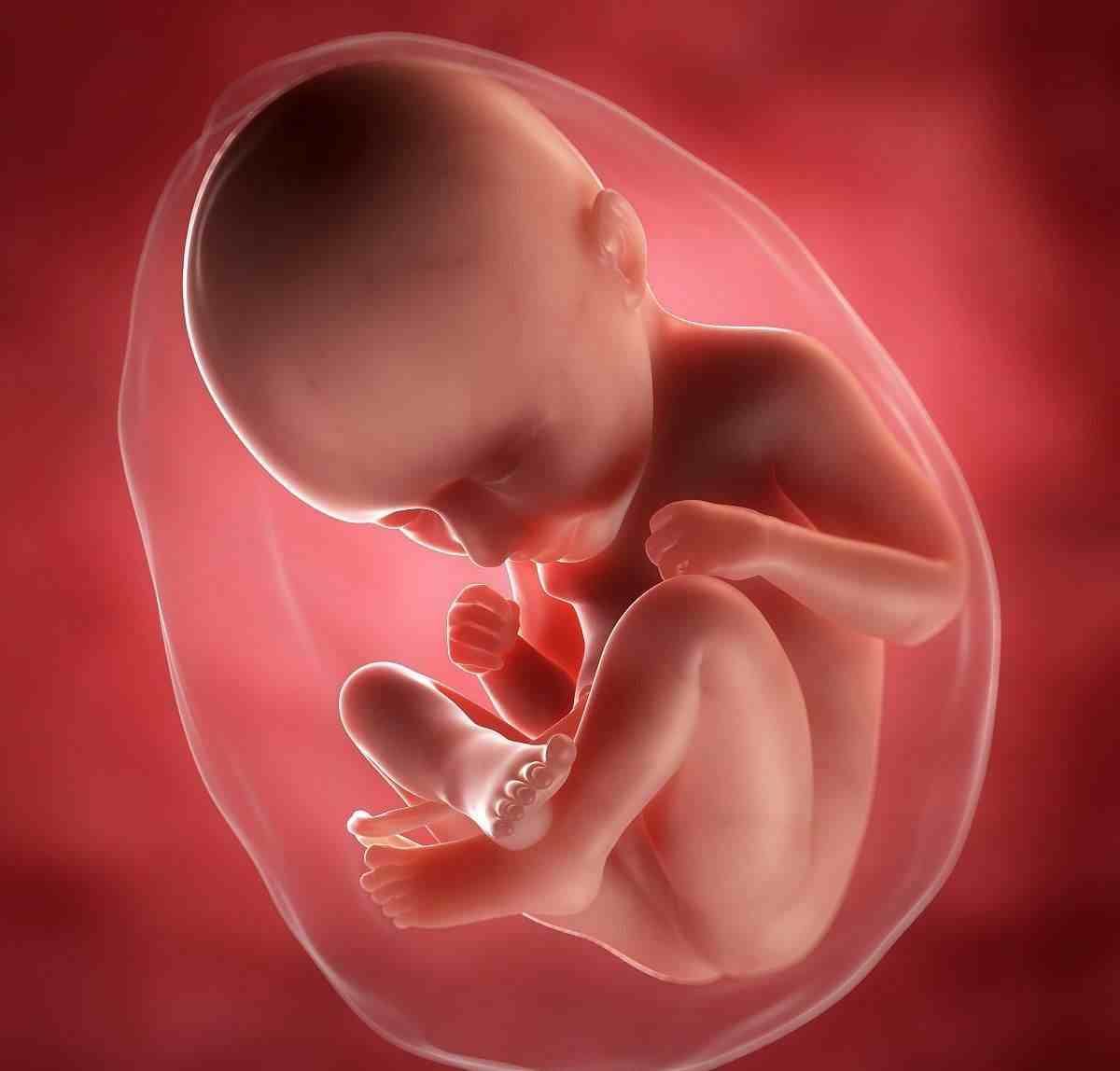 怀孕35周胎儿发育详情，这1项指标是个大飞跃，孕妇应注意这4点