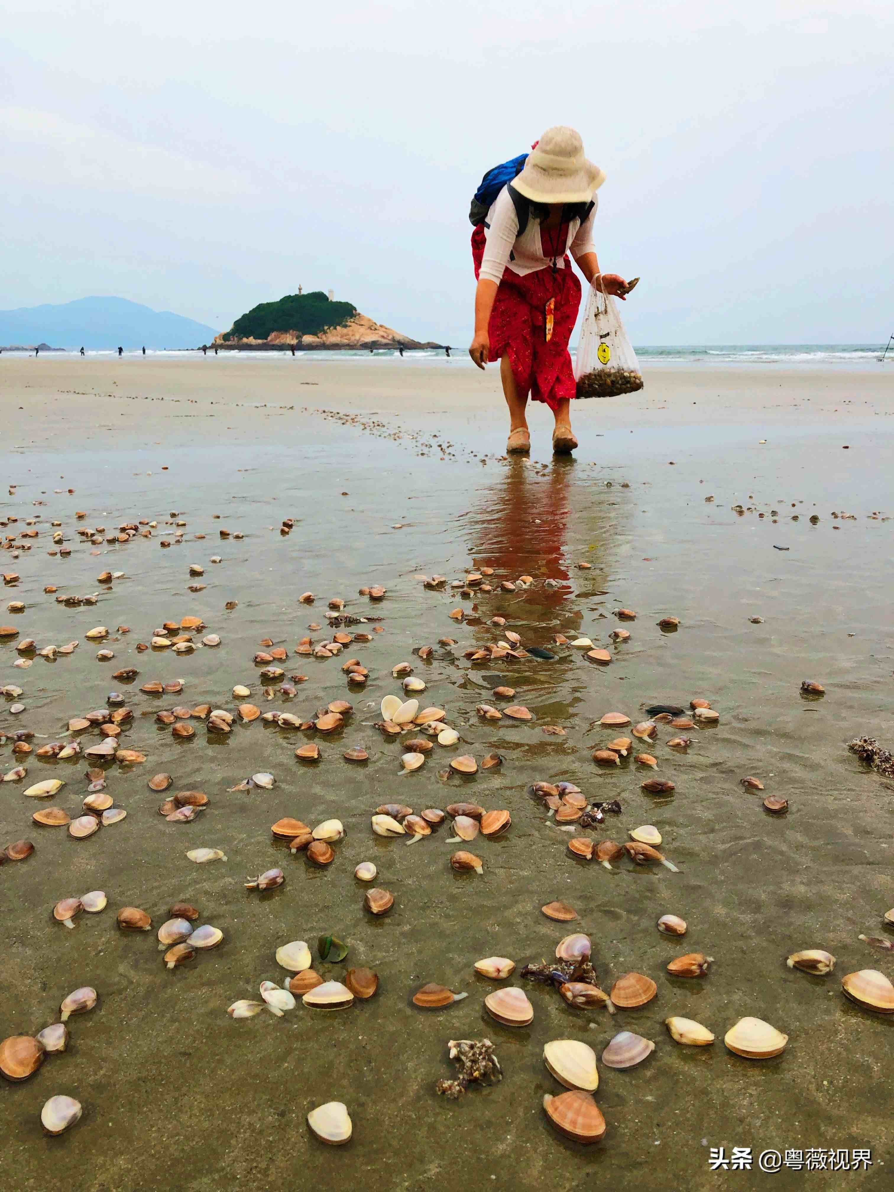 上川岛旅游|上川岛旅游攻略 ！