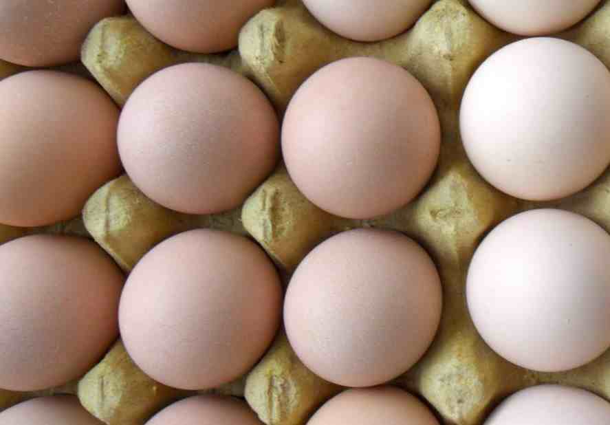 “人造鸡蛋”如何辨别？掌握4个技巧，再也不用担心买到假鸡蛋了
