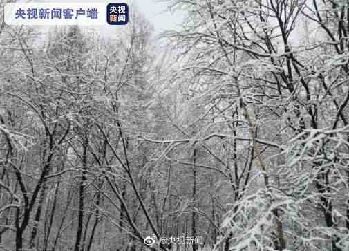 黑龙江多地大到暴雪