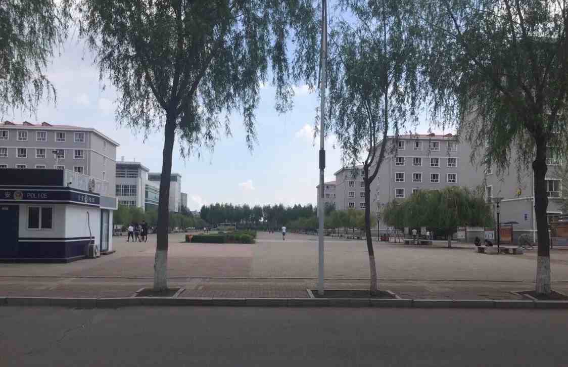 黑龙江建筑职业技术学院一一专科的老大