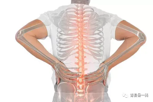 脊椎康复|脊椎康复小知识