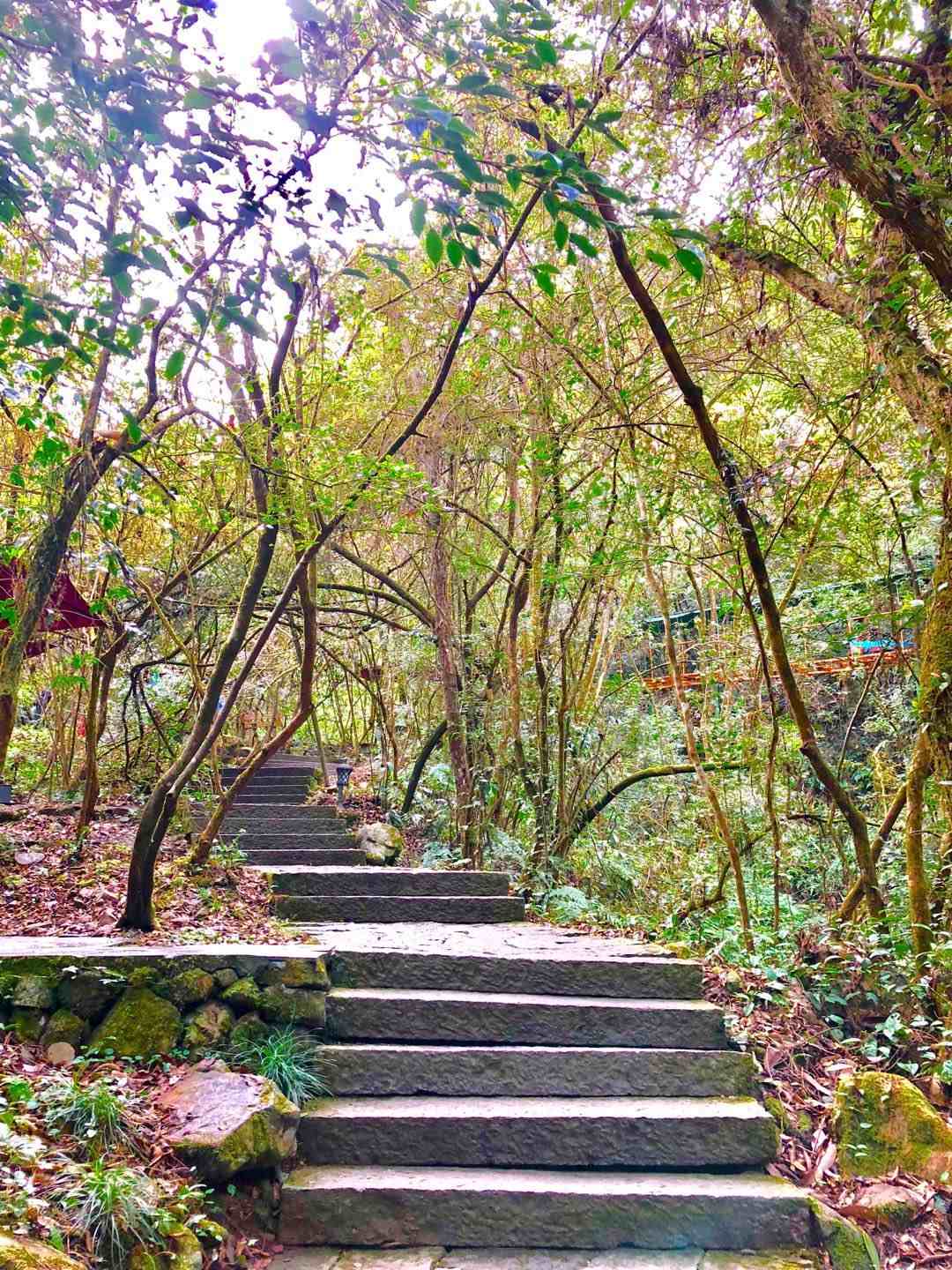 千岛湖千面，两天一夜吃住行全攻略