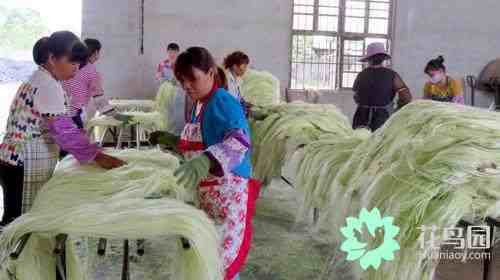 剑麻的用途|种植剑麻有什么用途