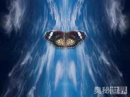 蝴蝶效应是什么意思,什么是蝴蝶效应
