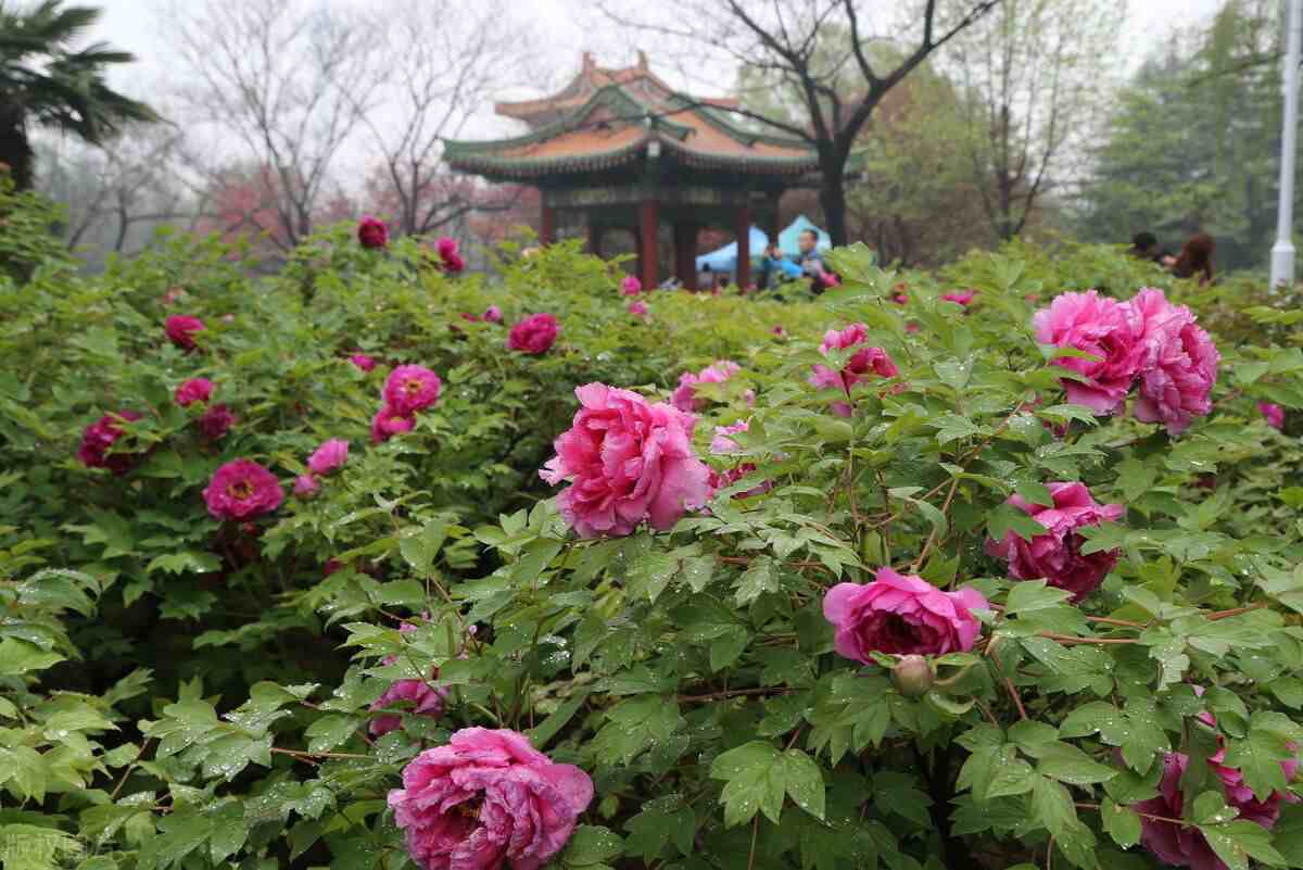 世界名城的雅号|各大城市别称雅称，欢迎阅读补充