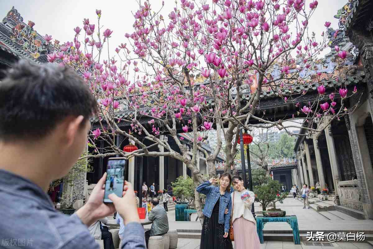 陈家祠好玩吗|广州必玩羊城八景古祠留芳陈家祠