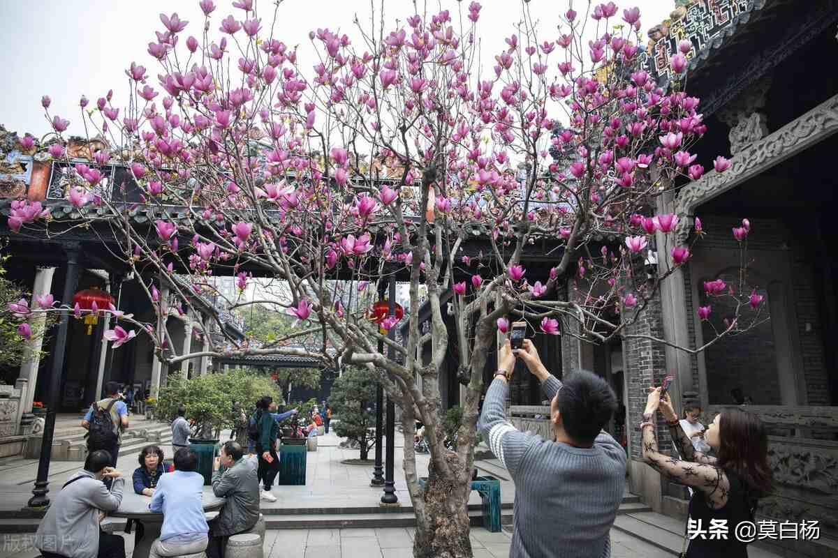 陈家祠好玩吗|广州必玩羊城八景古祠留芳陈家祠