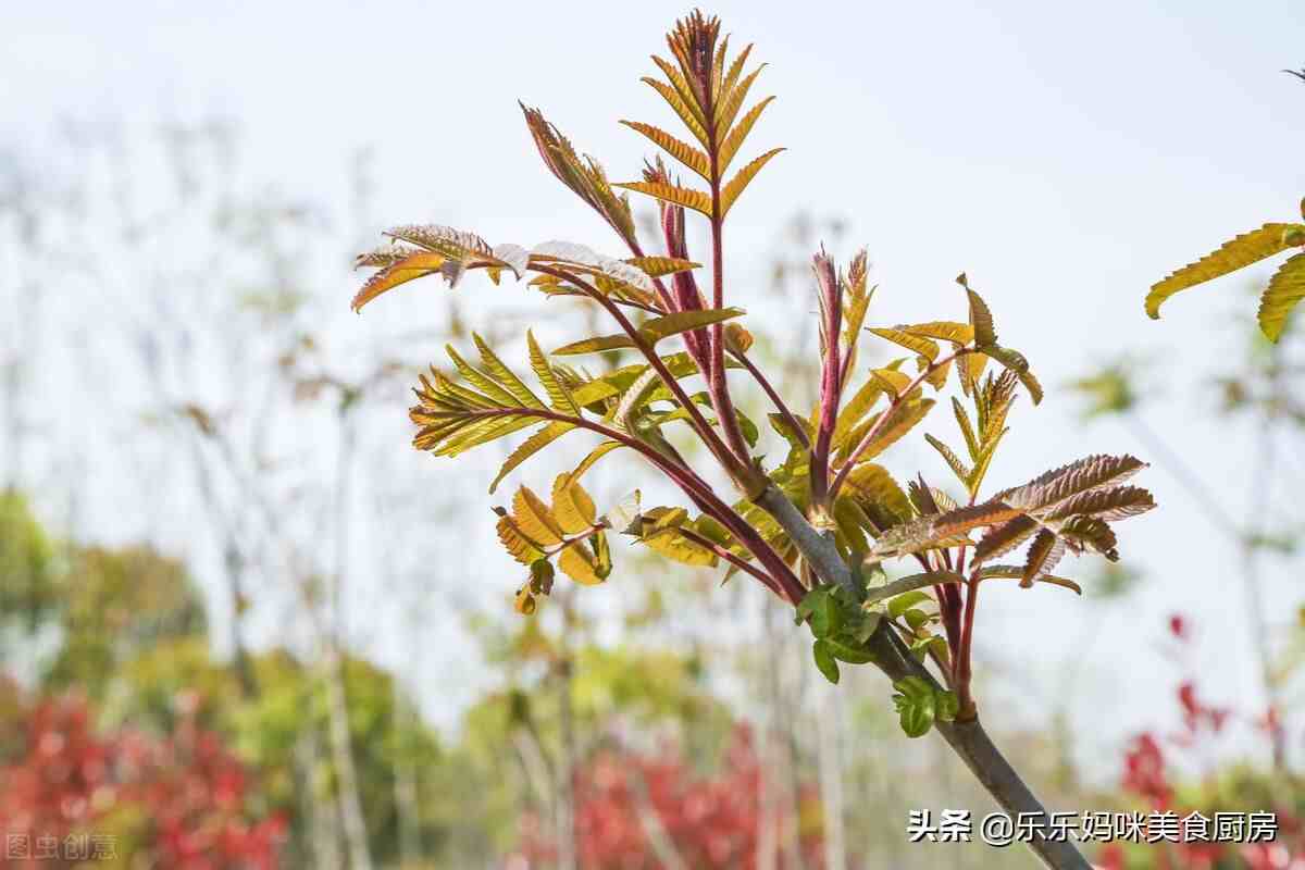 碱性的蔬菜|谷雨后湿气大，4种碱性蔬菜要常吃