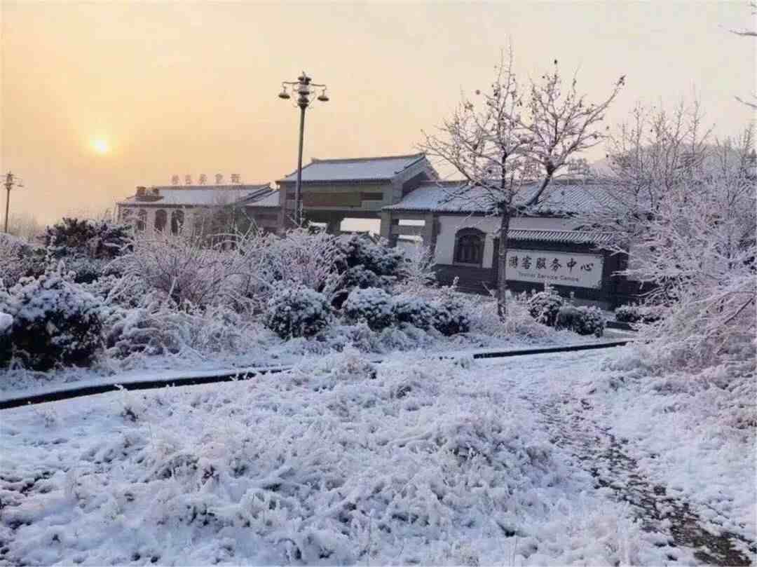 济南的雪|济南真的下雪啦！