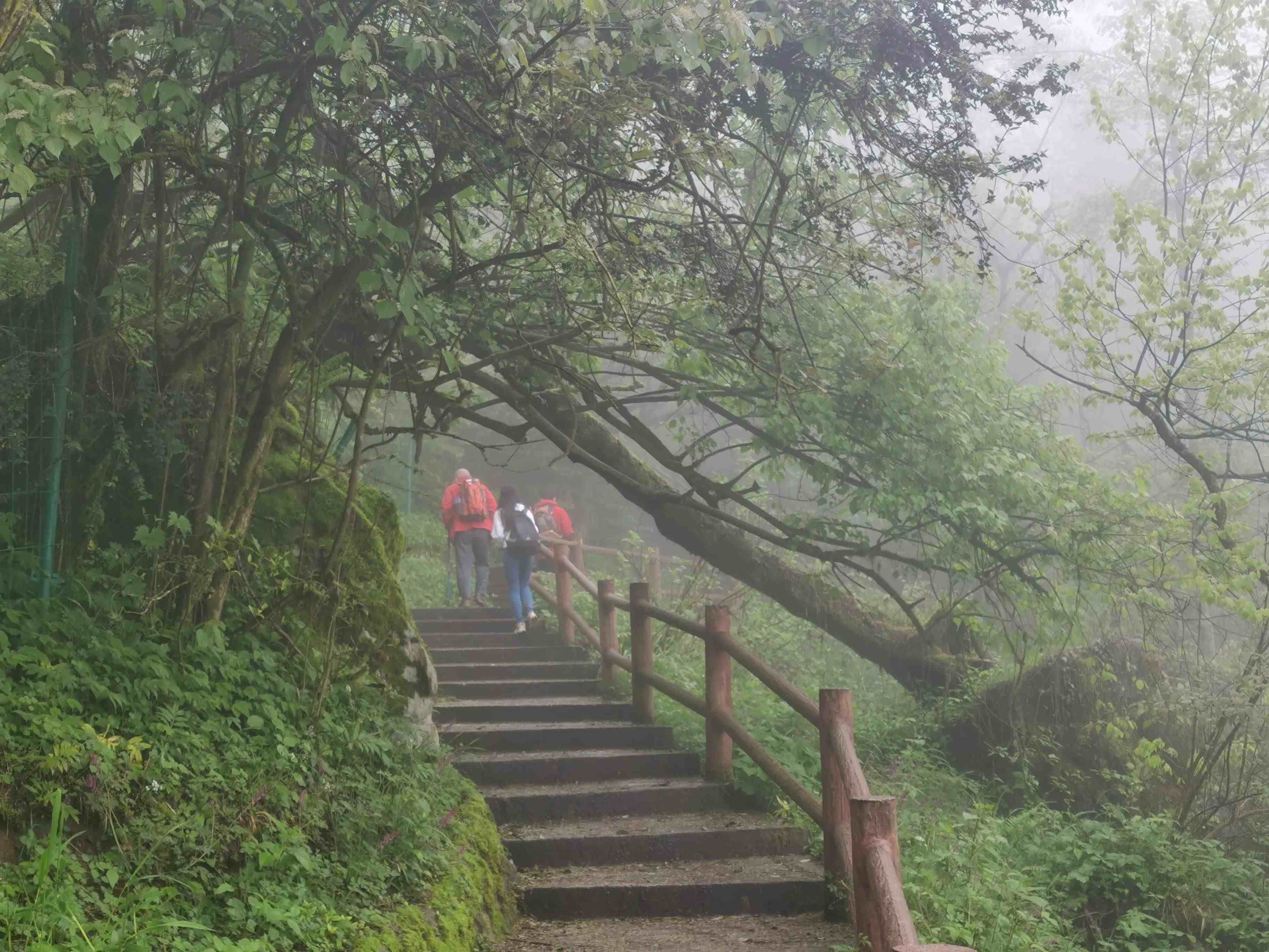 成都九峰山海拔图片