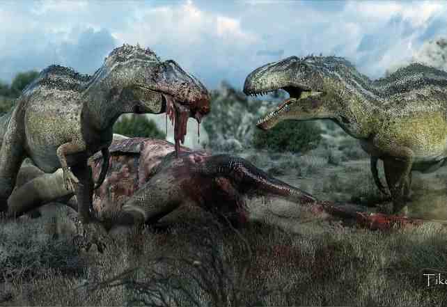 关于恐龙你可能不知道的事实，带你了解恐龙时代