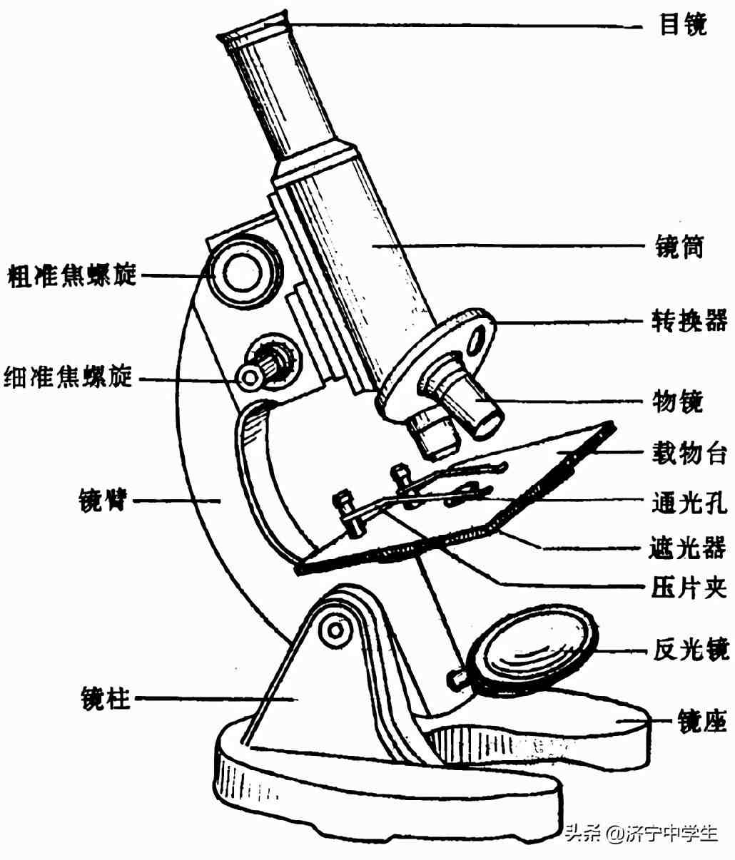 显微镜的使用步骤|显微镜使用方法