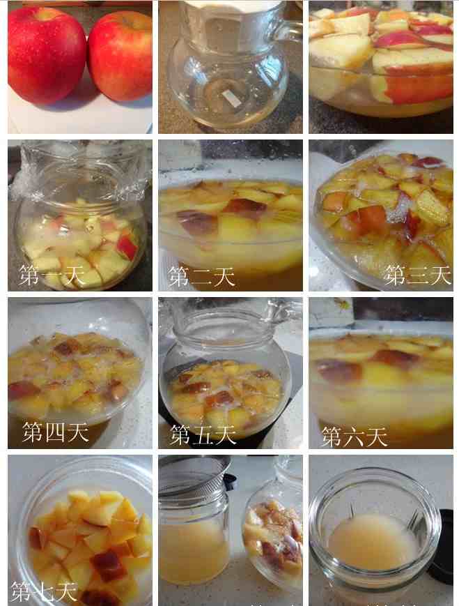 学做天然【苹果酵母】和【苹果酵头】