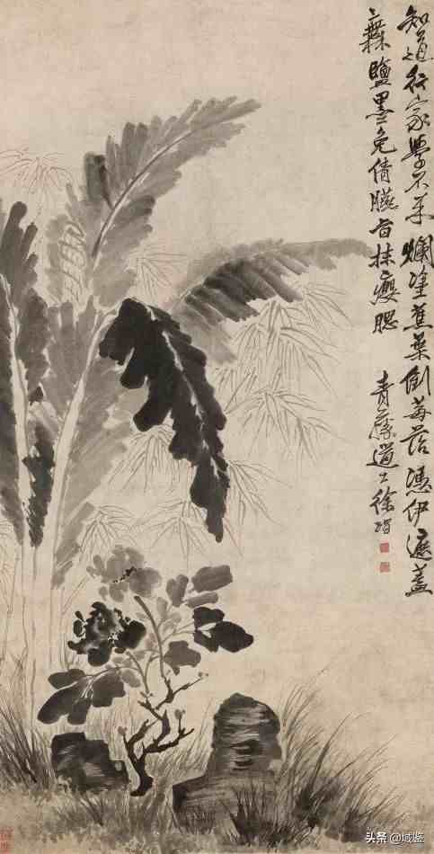 一个影响国画四百多年的旷世孤才：不老“青藤”徐渭的一生