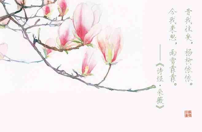 中国最美的九本诗词集，一生至少要读一次