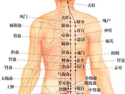 久坐久站的上班族，告别腰肌劳损，职场肾气凌人的锻炼法：小燕飞