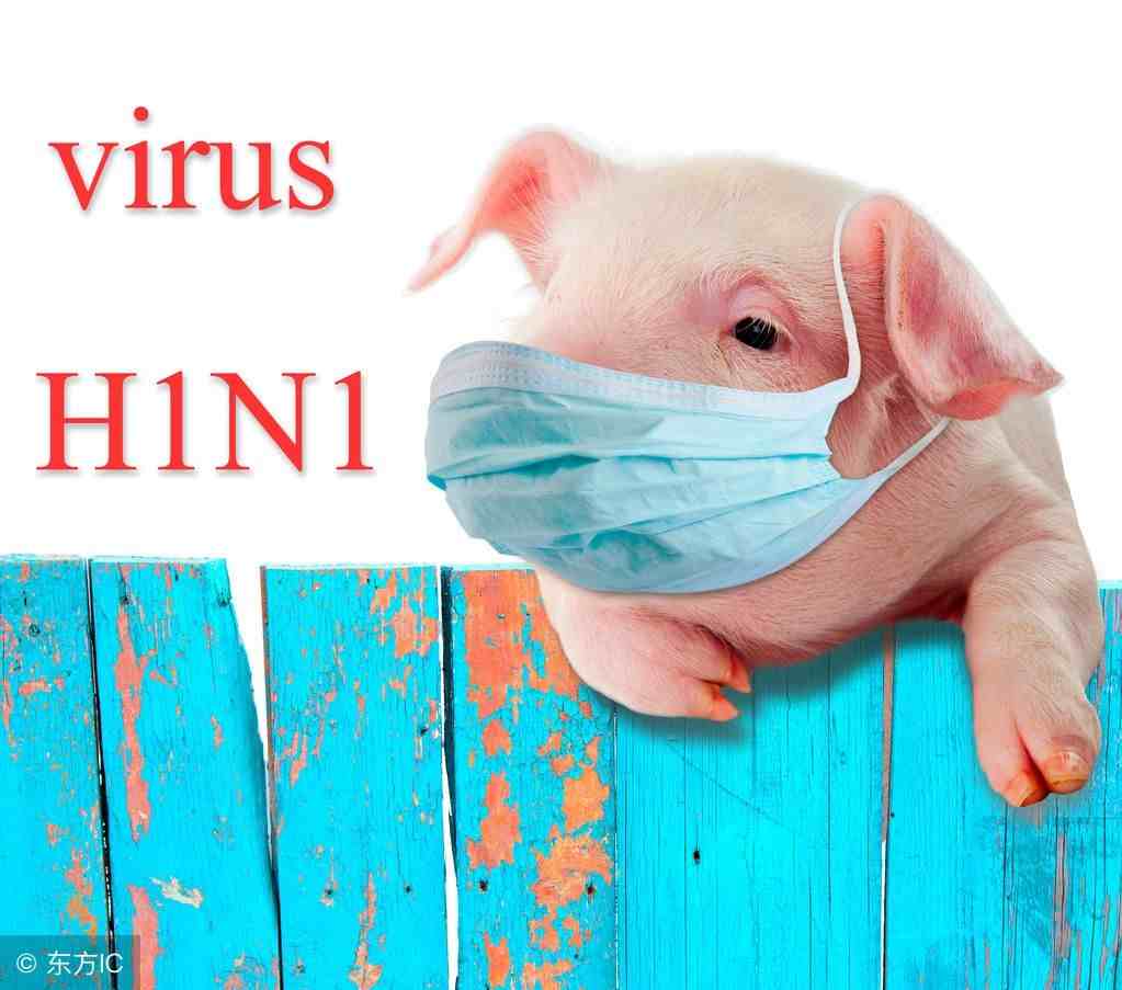 H1N1ʲô֢״֢