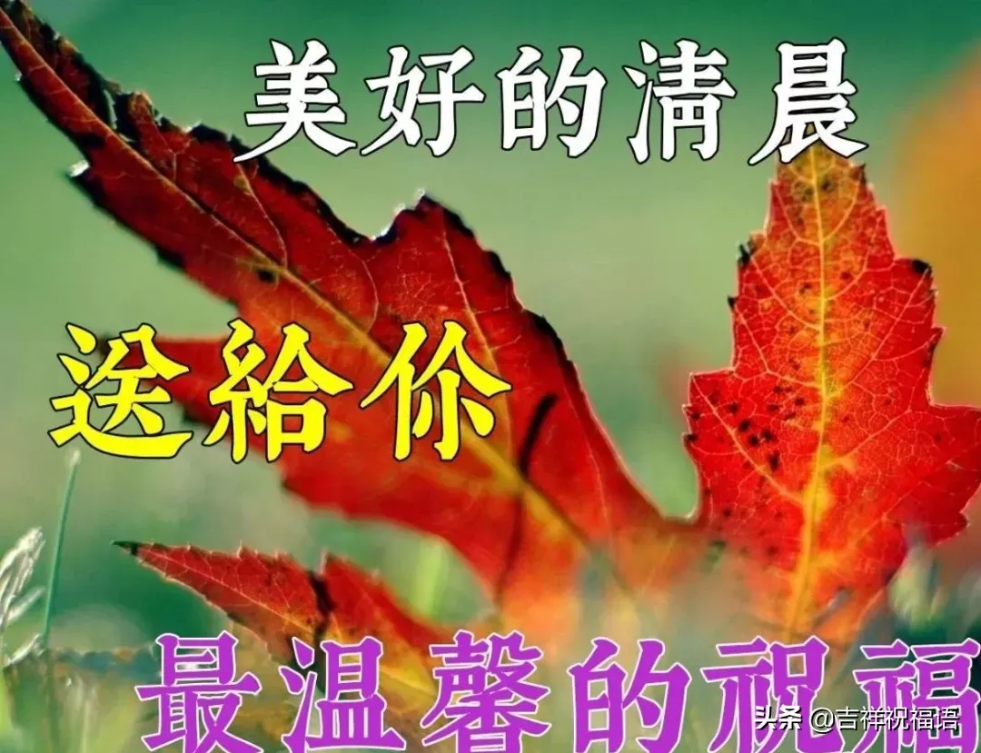 01.14早安心语 早安心语简单一句话 最温馨的早上好问候