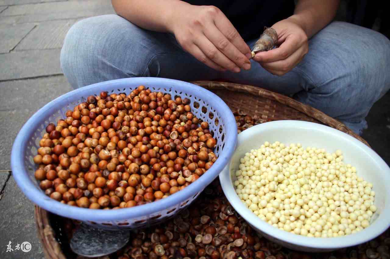 美食家陆文夫|苏州美食家陆文夫和他的《美食家》