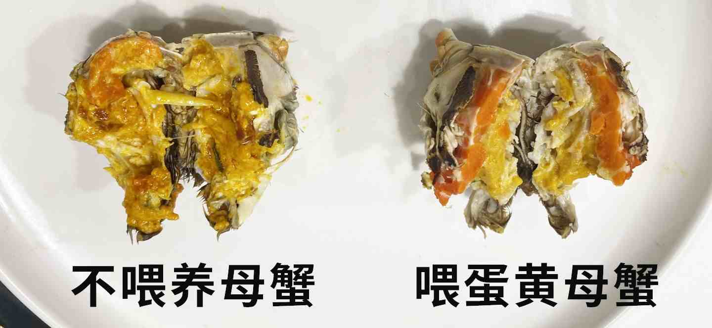 死蟹能吃吗|螃蟹死了为啥不能吃？