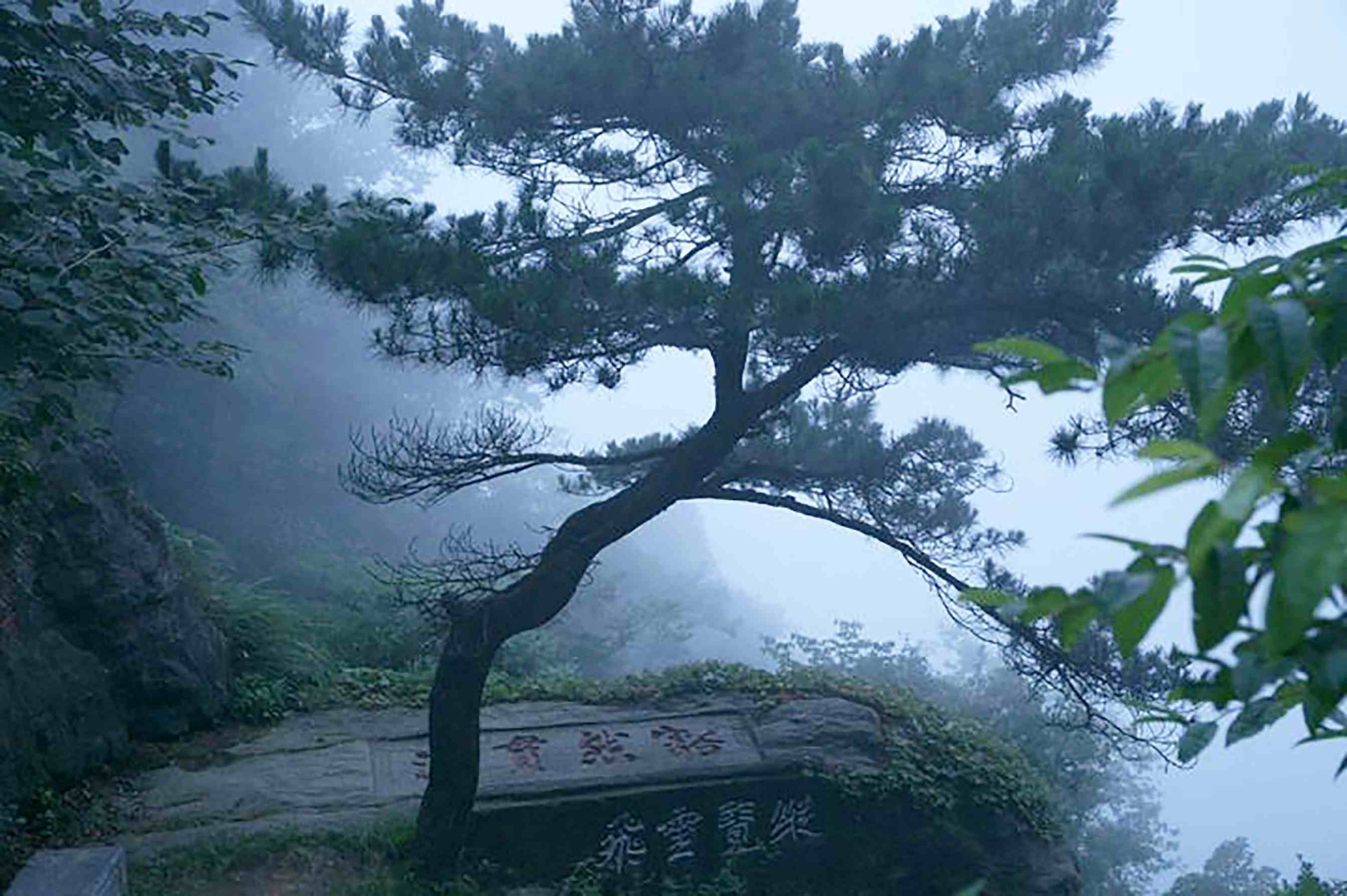 庐山在哪？|江西庐山