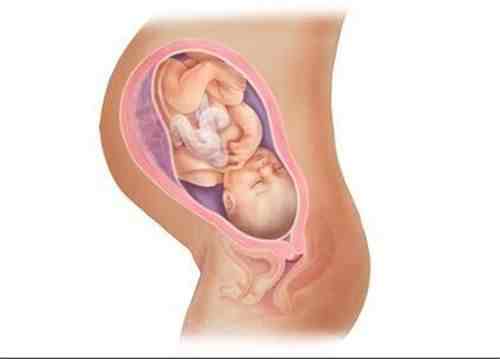 “36周胎儿发育情况”报你知：怀孕36周要注意什么？
