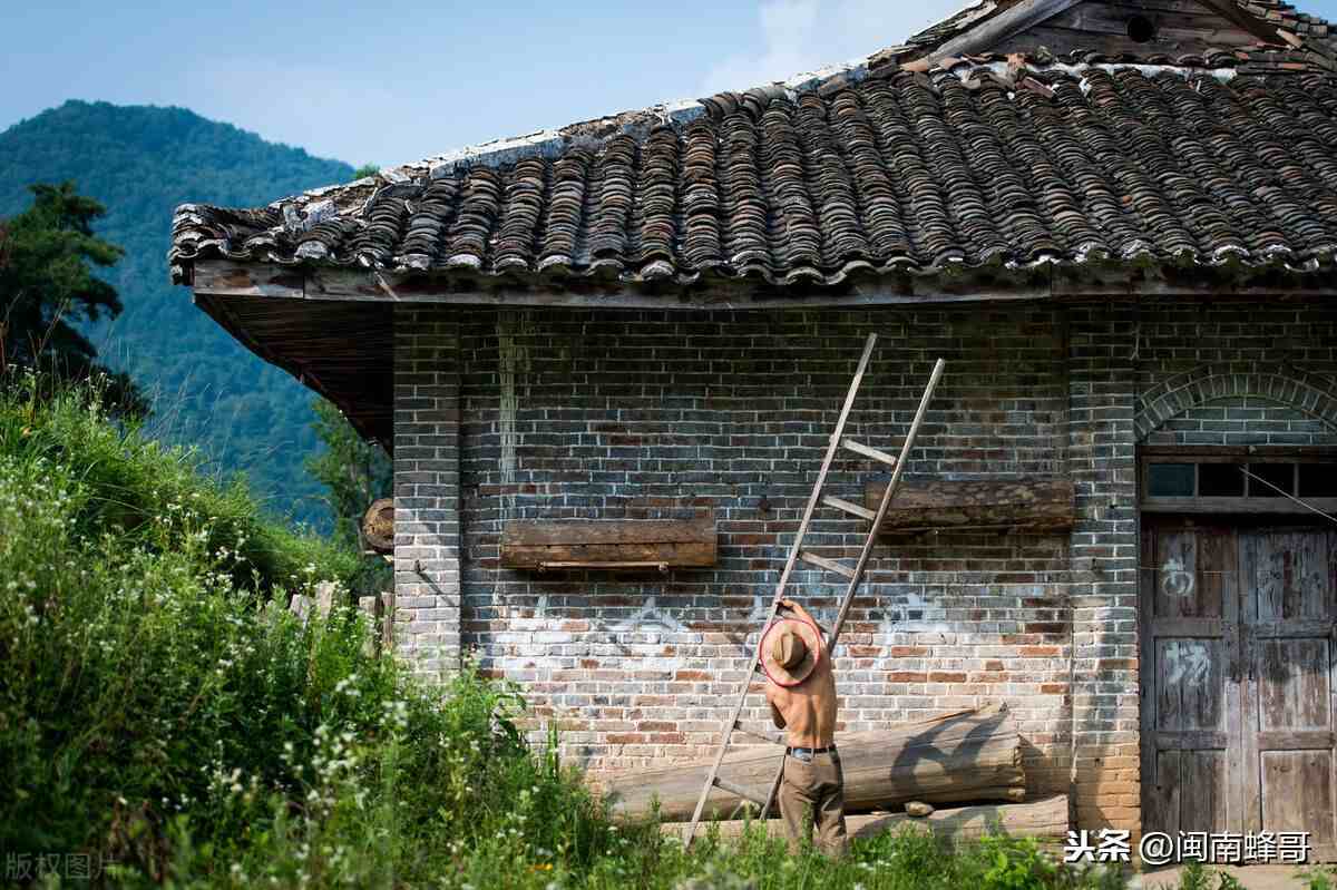 养蜂知识|容易遗忘的养蜂知识，经常有养蜂人忘记