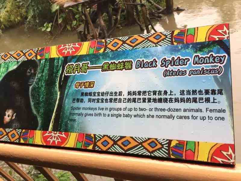 广州番禺长隆野生动物园，完全自游手册指南，不用跟团找导游