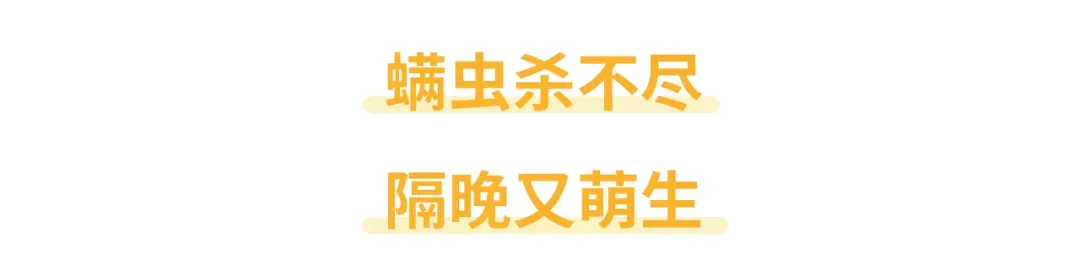 听说除螨仪根本没有用？那螨虫应该怎么除？