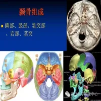 耳部结构图（耳部CT及MRI解剖）