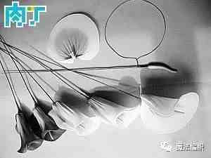 丝网花胸花制作|丝网花编织学习技术教材