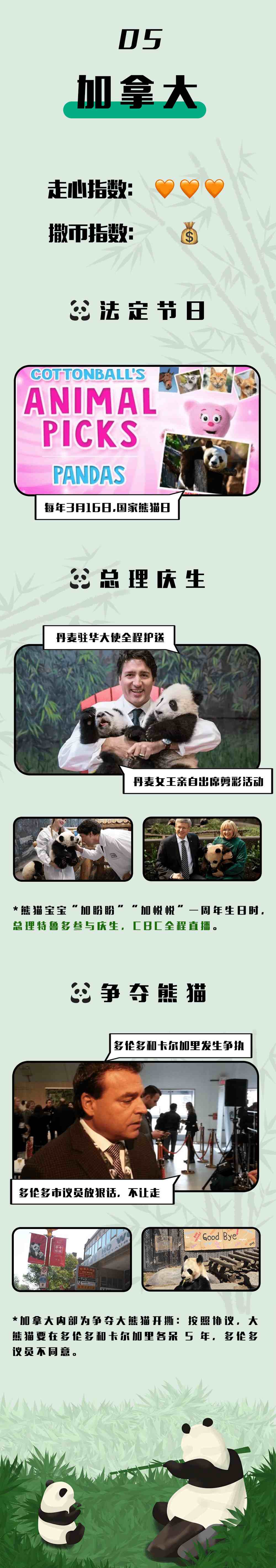 外国人到底有多喜欢大熊猫？