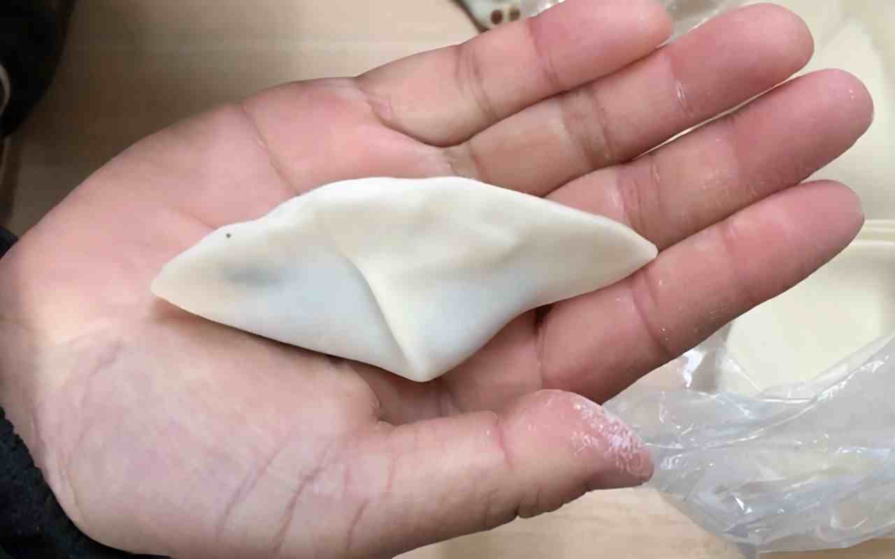 怎么包饺子|教你14种花样水饺包法