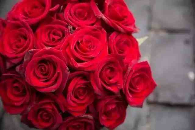 情人节的玫瑰不能随便送，你应该知道的玫瑰花语
