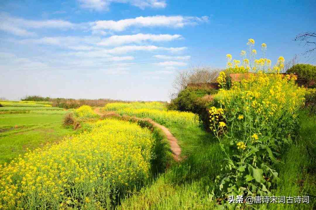 陌上花开什么意思|陌上花开，可缓缓归矣