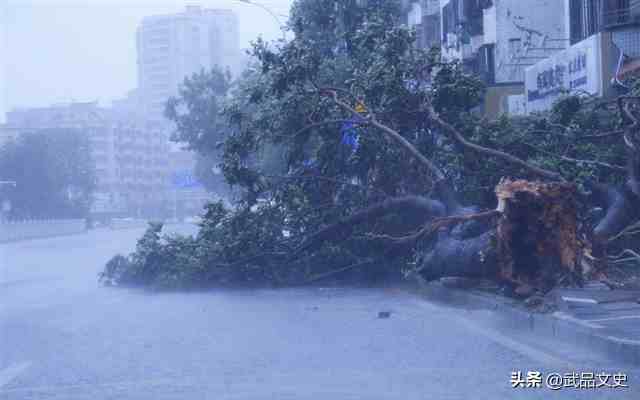 历史七大超强台风，5000人死亡的“薇拉”只排第五，第一实至名归