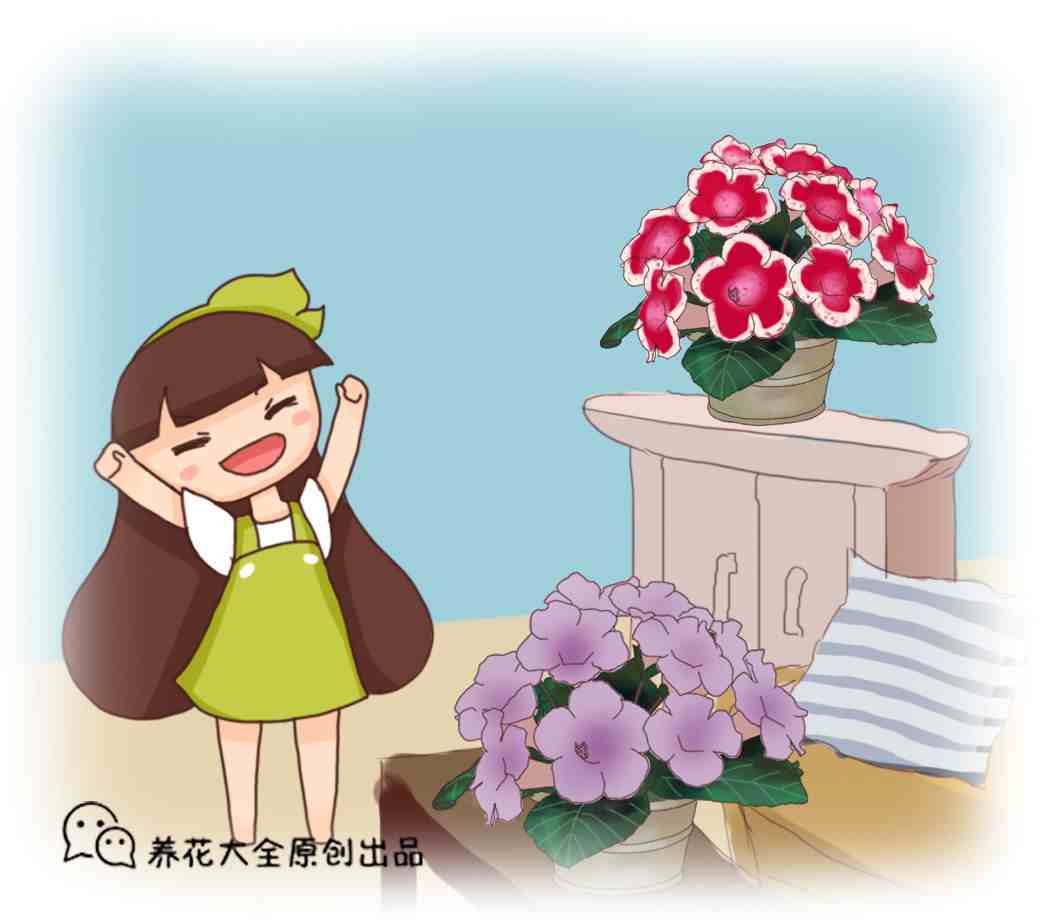 鲜花怎么保鲜|鲜花保鲜时间短？